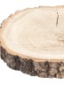 Спил дерева дуб d 21-38 см ТВ-1192