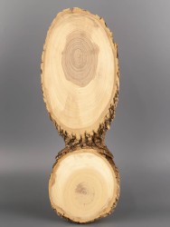 Спил дерева ясень d 13-37 см ТВ-1840