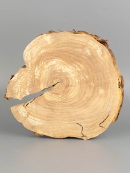 Спил дерева яблоня d 16-18 см ТВ-2036