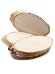 Спилы берёзы 7-11 см, толщина 11-13 мм (5 шт.) ТВ-040