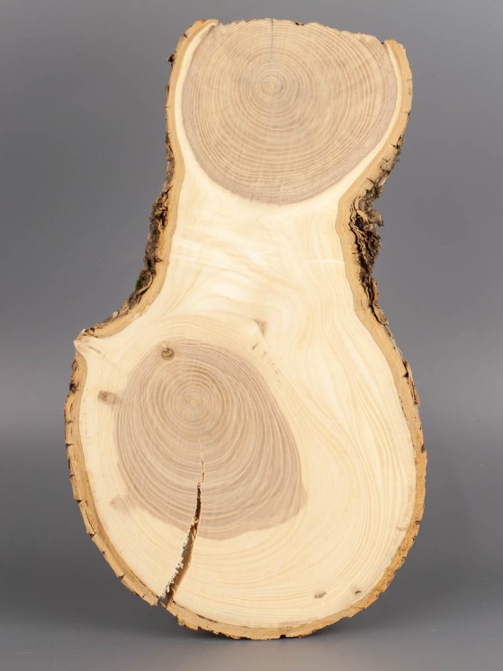 Спил дерева ясень d 16-28 см ТВ-1841