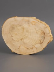 Спил дерева клён d 10-12 см ТВ-1954