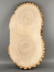 Спил дерева ясень d 26-47 см ТВ-2079