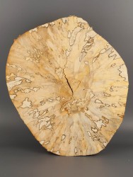 Спил дерева берёза (шпальт) d 29-34 см ТВ-1602