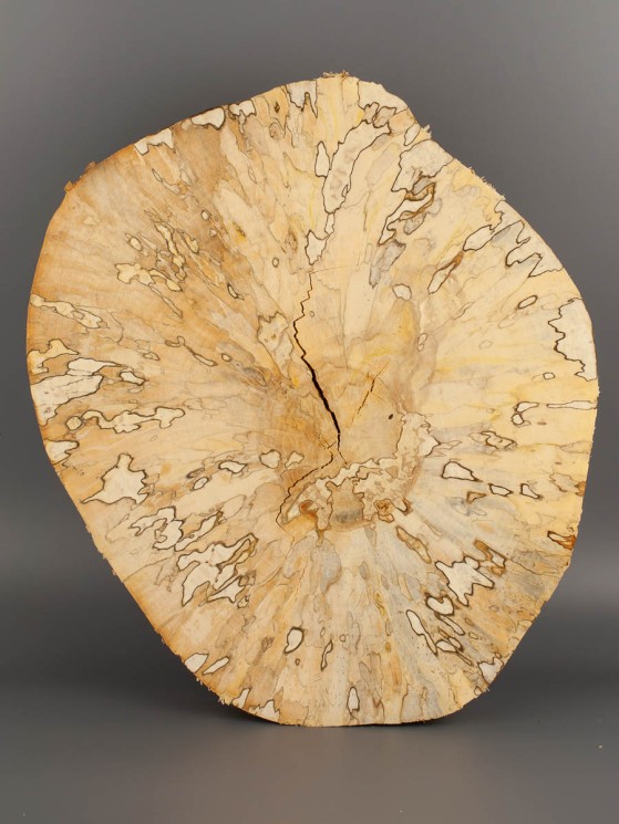 Спил дерева берёза (шпальт) d 29-34 см ТВ-1602