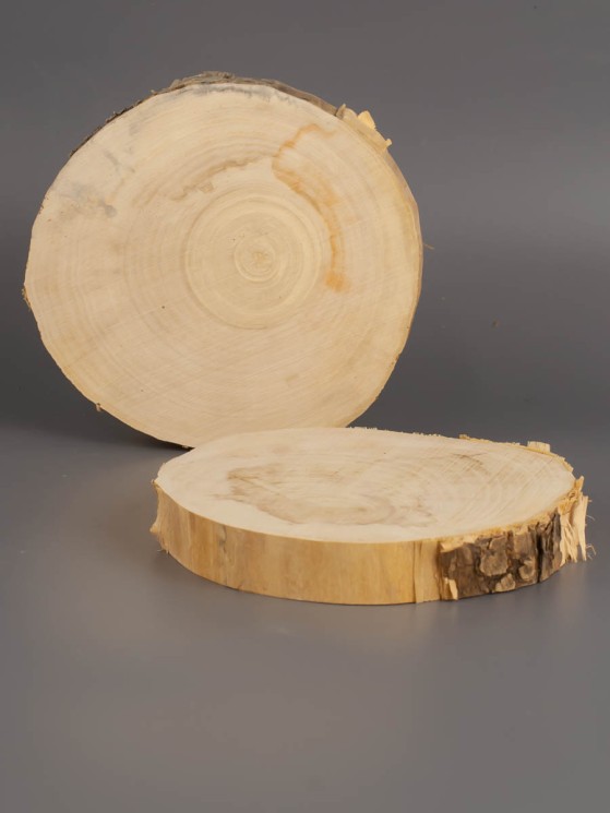 Спил дерева клён d 9-11 см (2 шт) ТВ-1955