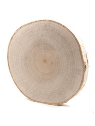 Спил берёзы d 16-18 см, толщина 15-20 мм ТВ-041