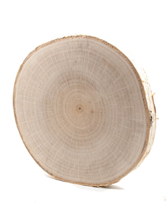 Спил берёзы d 16-18 см, толщина 15-20 мм ТВ-041