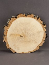 Спил дерева берёза 19-21 см ТВ-1747
