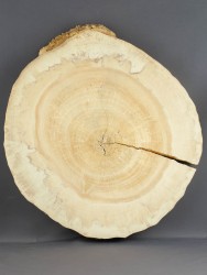 Спил дерева клён d 35-40 см ТВ-1770