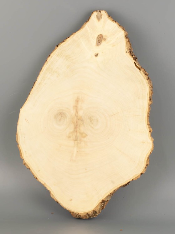 Спил дерева клён d 21-30 см ТВ-2038