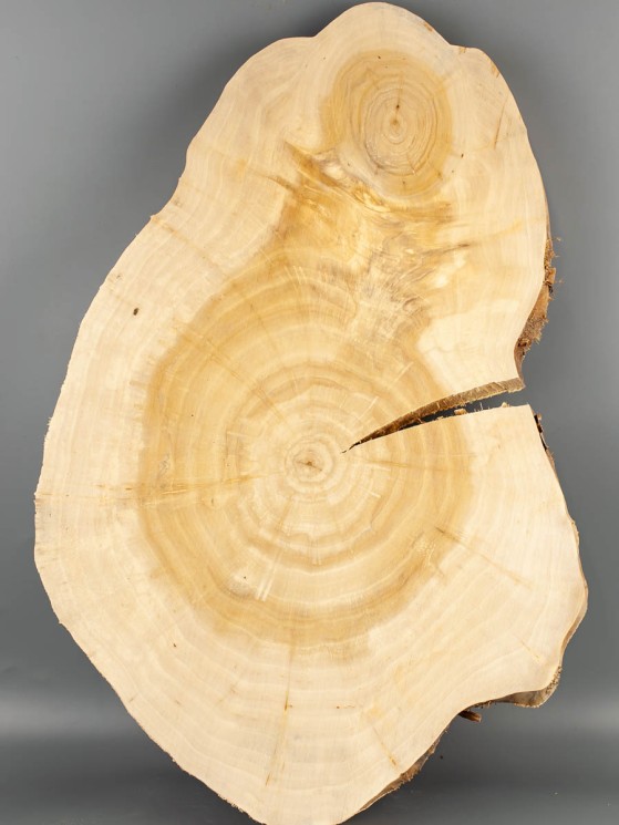 Спил дерева ива d 31-46 см ТВ-2081