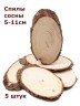 Спилы сосны 5-11 см (5 шт.) ТВ-538