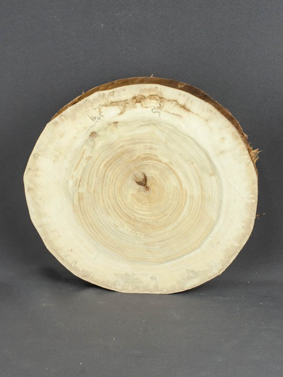 Спил дерева тополь d 18-20 см ТВ-638