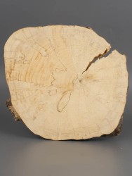 Спил дерева клён d 15-17 см ТВ-1957