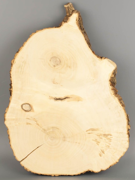 Спил дерева клён d 25-32 см ТВ-2039