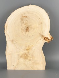 Спил дерева тополь d 22-32 см ТВ-2082