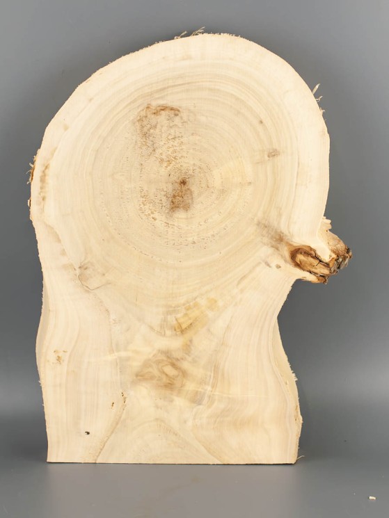 Спил дерева тополь d 22-32 см ТВ-2082