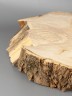 Спил дерева ясень d 33-47 см ТВ-2099