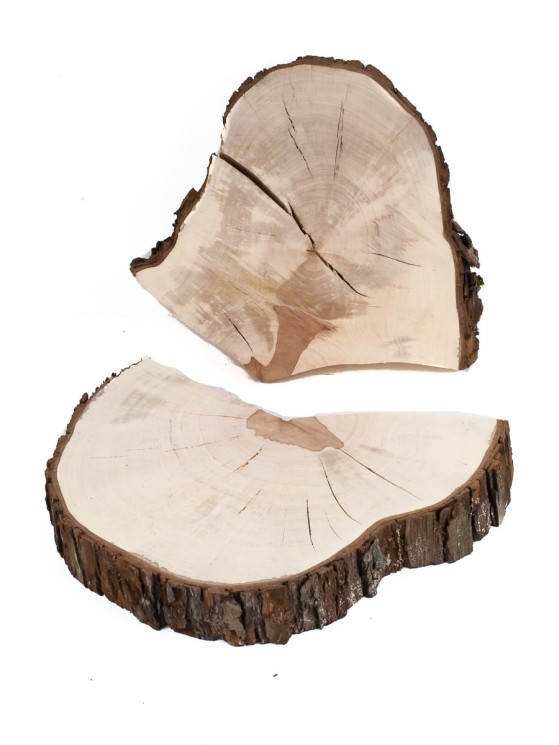 Спил дерева груша d 24-31 см ТВ-1416