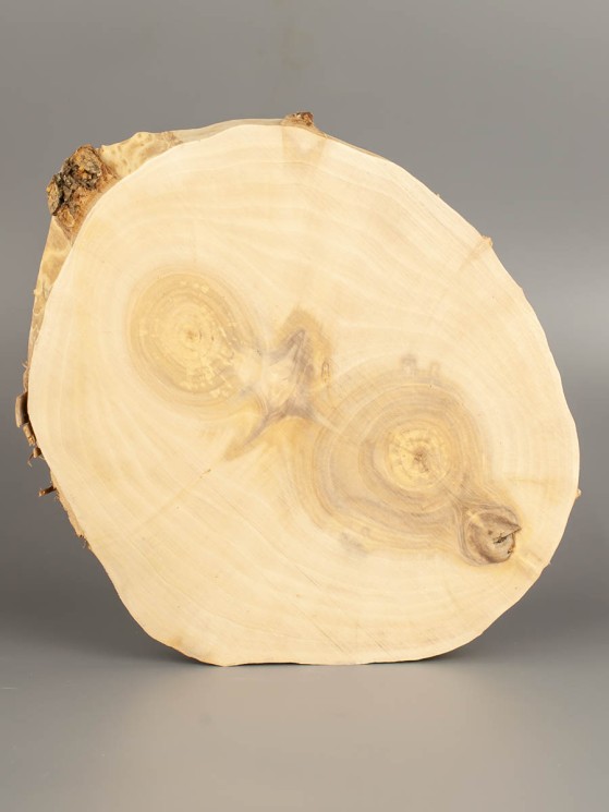 Спил дерева ива d 19-23 см ТВ-1844