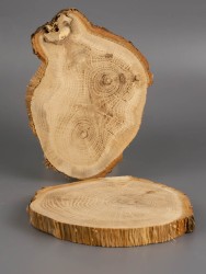 Спил дерева дуб d 8-11 см (2 шт.) ТВ-1958