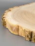 Спил дерева ясень d 33-36 см ТВ-2100