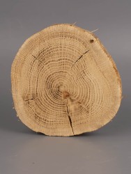 Спил дерева дуб d 9-11 см ТВ-1959