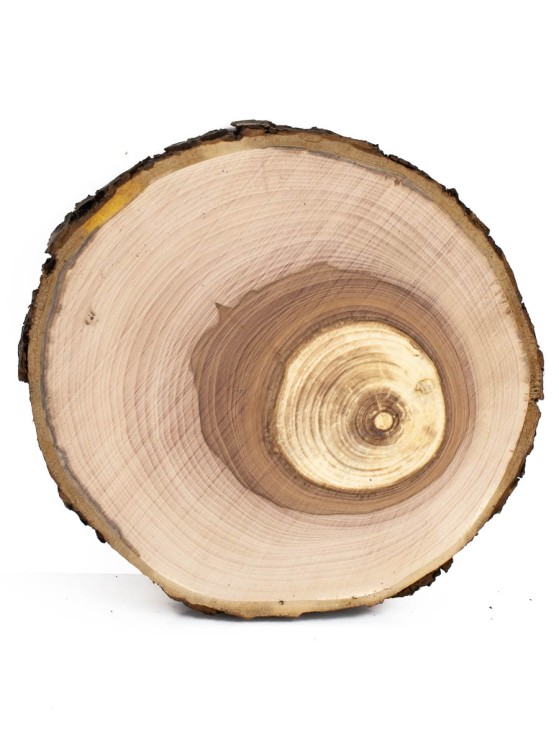 Спил дерева яблоня d 15-17 см ТВ-1154
