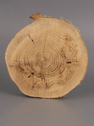Спил дерева дуб d 8-10 см ТВ-1960