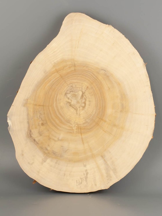 Спил дерева ива d 24-30 см ТВ-2042