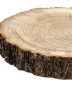 Спил дерева дуб d 20-22 см ТВ-757