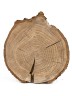 Спил дерева дуб d 20-22 см ТВ-757
