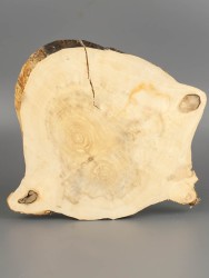 Спил дерева клён d 20-23 см ТВ-1847