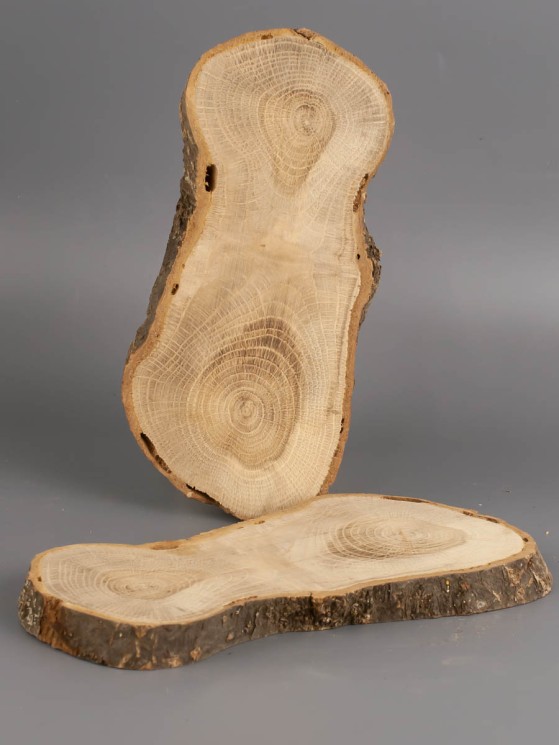 Спил дерева дуб d 8-16 см (2 шт.) ТВ-1961