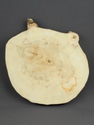 Спил дерева клён d 16-18 см ТВ-1053