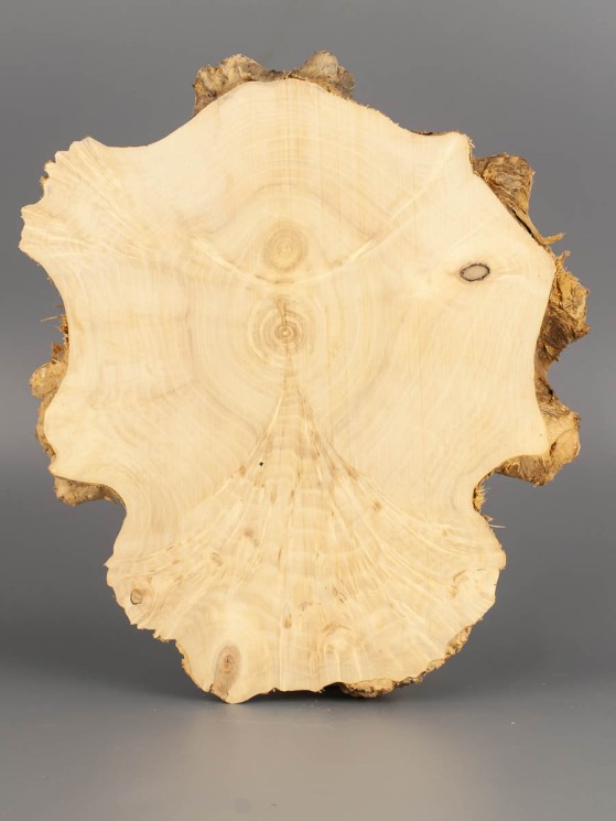 Спил дерева клён d 19-21 см ТВ-1848