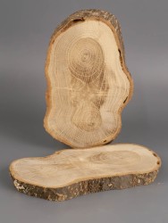 Спил дерева дуб d 8-14 см (2 шт.) ТВ-1962