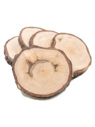 Спил дерева ольха d 5-6 см, толщина 7-11 мм (5 шт.) ТВ-458