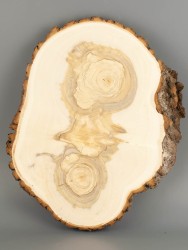 Спил дерева ива d 20-25 см ТВ-2044