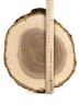 Спил дерева ясень d 22-26 см ТВ-759