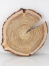 Спил дерева лиственница d 28-32 см, толщина 28-30 мм (1 шт.) ТВ-094