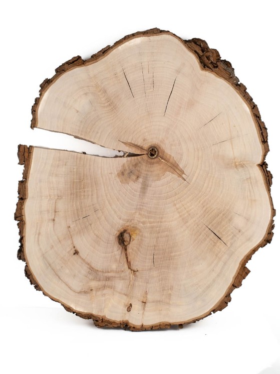 Спил дерева груша d 35-40 см ТВ-1597