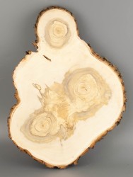 Спил дерева ива d 23-30 см ТВ-2045