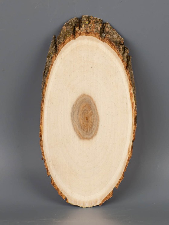 Спил дерева ива d 7-15 см ТВ-2087