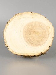 Спил дерева ясень d 10-12 см ТВ-2105