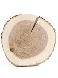 Спил дерева ясень d 25-26 см ТВ-544