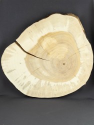 Спил дерева ива d 31-36 см ТВ-696