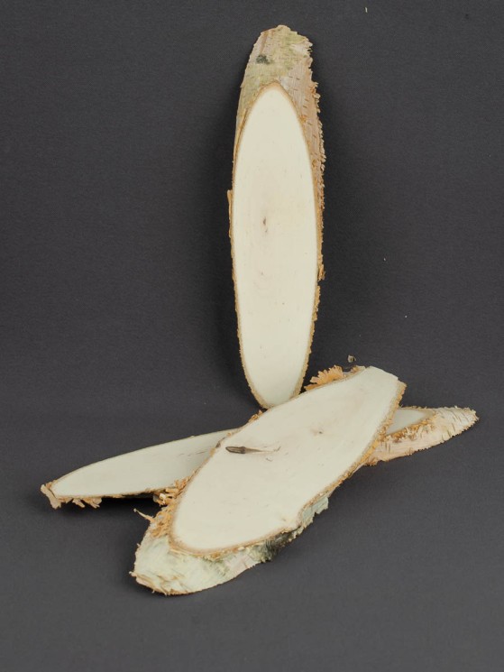 Спил дерева берёза d 4-15 см. (3 шт.) ТВ-1078