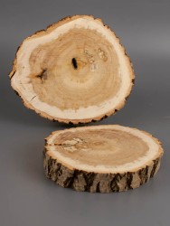 Спил дерева ива d 10-12 см (2 шт.) ТВ-1964